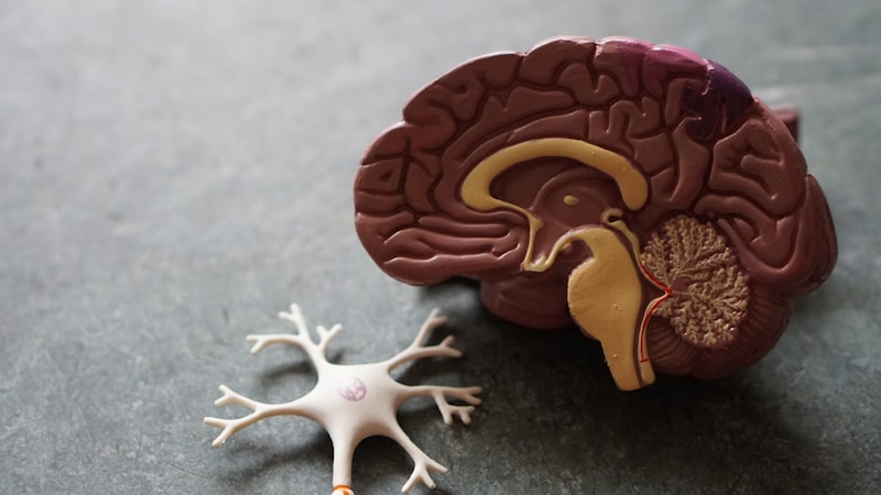 Rééducation en Neurologie